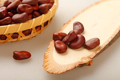 物理建造游戏《围攻》全新DLC“分裂之海” 5月24日发售